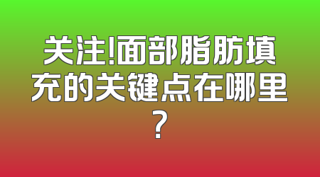 关注！面部脂肪填充的关键点在哪里？