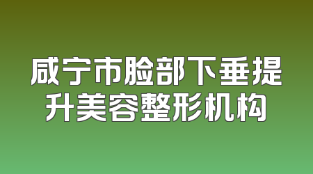 咸宁市脸部下垂提升美容整形机构