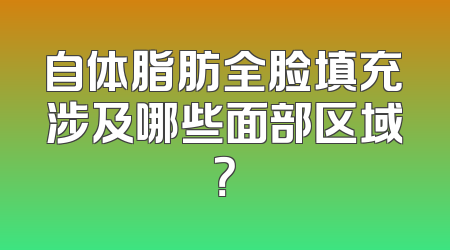 自体脂肪全脸填充涉及哪些面部区域？