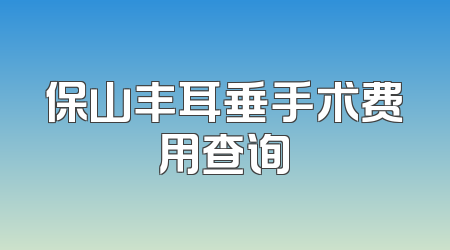 保山丰耳垂手术费用查询
