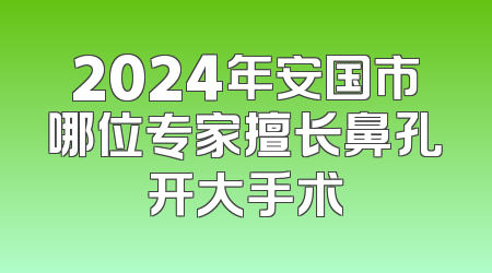 2024年安国市哪位专家擅长鼻孔开大手术