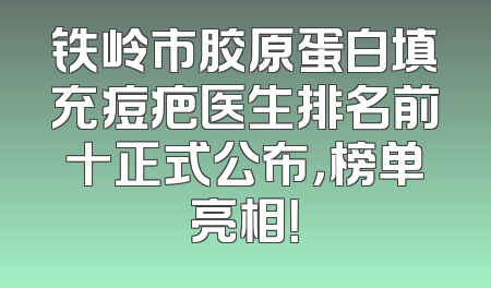 铁岭市胶原蛋白填充痘疤医生排名前十正式公布，榜单亮相！