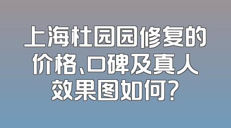 上海杜园园修复的价格、口碑及真人效果图如何？