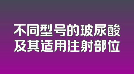 不同型号的玻尿酸及其适用注射部位