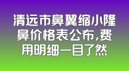 清远市鼻翼缩小隆鼻价格表公布，费用明细一目了然