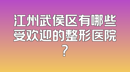 江州武侯区有哪些受欢迎的整形医院？