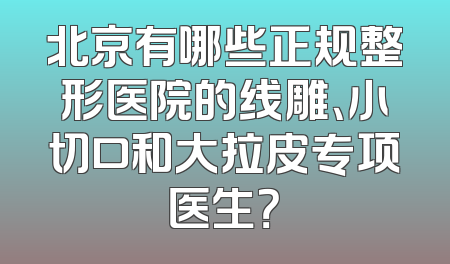 北京有哪些正规整形医院的线雕、小切口和大拉皮专项医生？