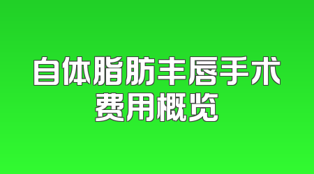 自体脂肪丰唇手术费用概览