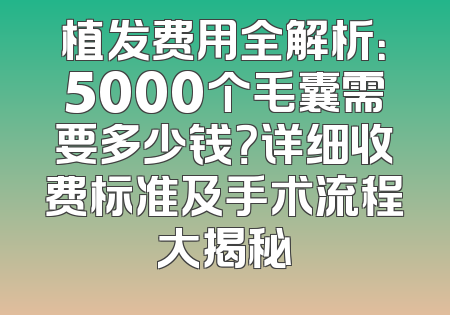 植发费用全解析：5000个毛囊需要多少钱？详细收费标准及手术流程大揭秘