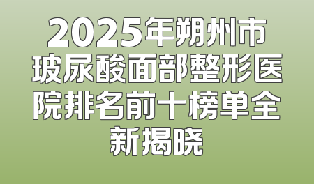 2025年朔州市玻尿酸面部整形医院排名前十榜单全新揭晓
