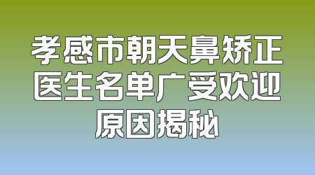孝感市朝天鼻矫正医生名单广受欢迎原因揭秘
