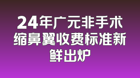 24年广元非手术缩鼻翼收费标准新鲜出炉