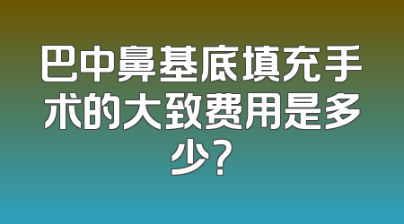 巴中鼻基底填充手术的大致费用是多少？