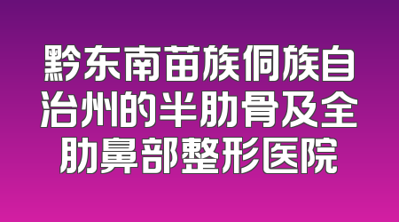 黔东南苗族侗族自治州的半肋骨及全肋鼻部整形医院