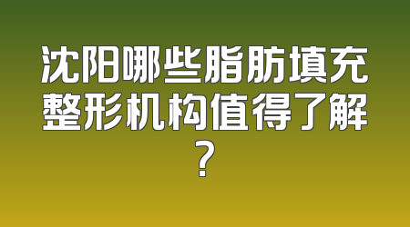沈阳哪些脂肪填充整形机构值得了解？
