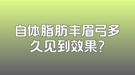 自体脂肪丰眉弓多久见到效果？