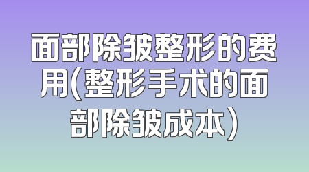 面部除皱整形的费用(整形手术的面部除皱成本)