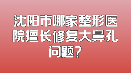 沈阳市哪家整形医院擅长修复大鼻孔问题？