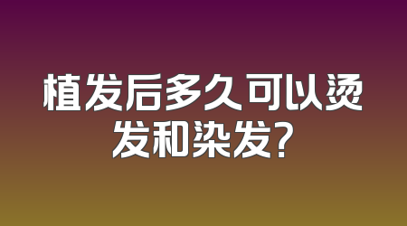 植发后多久可以烫发和染发？