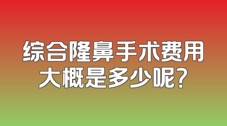综合隆鼻手术费用大概是多少呢？