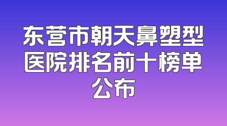 东营市朝天鼻塑型医院排名前十榜单公布
