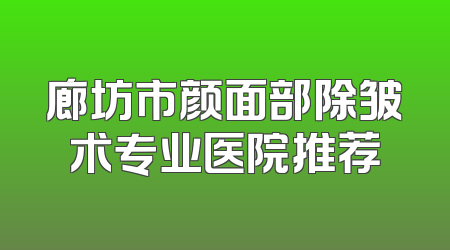 廊坊市颜面部除皱术专业医院推荐