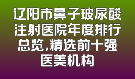 辽阳市鼻子玻尿酸注射医院年度排行总览，精选前十强医美机构