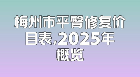 梅州市平臀修复价目表，2025年概览