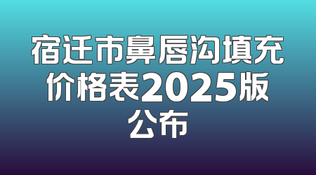宿迁市鼻唇沟填充价格表2025版公布