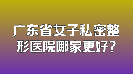 广东省女子私密整形医院哪家更好？