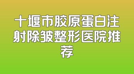 十堰市胶原蛋白注射除皱整形医院推荐