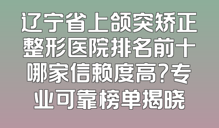 辽宁省上颌突矫正整形医院排名前十哪家信赖度高？专业可靠榜单揭晓