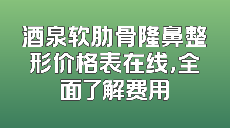 酒泉软肋骨隆鼻整形价格表在线，全面了解费用