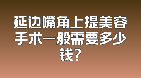 延边嘴角上提美容手术一般需要多少钱？
