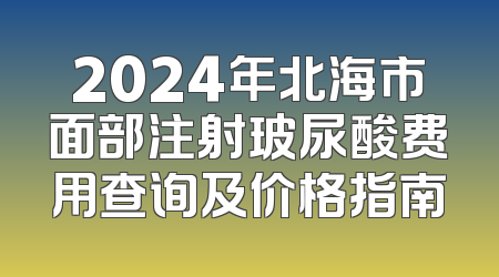 2024年北海市面部注射玻尿酸费用查询及价格指南