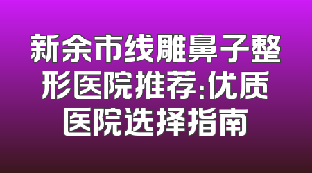 新余市线雕鼻子整形医院推荐：优质医院选择指南