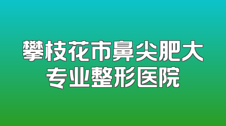 攀枝花市鼻尖肥大专业整形医院