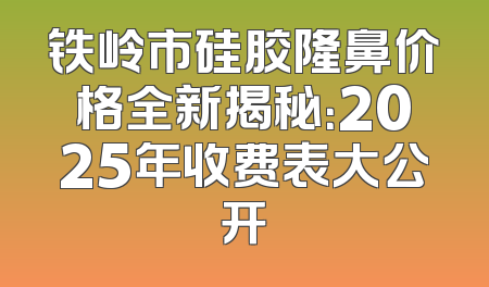 铁岭市硅胶隆鼻价格全新揭秘：2025年收费表大公开