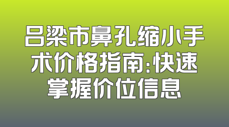 吕梁市鼻孔缩小手术价格指南：快速掌握价位信息