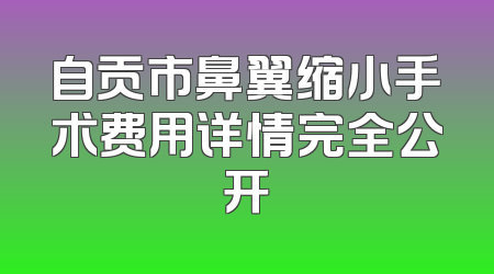 自贡市鼻翼缩小手术费用详情完全公开