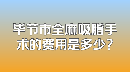 毕节市全麻吸脂手术的费用是多少？