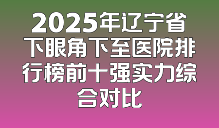 2025年辽宁省下眼角下至医院排行榜前十强实力综合对比