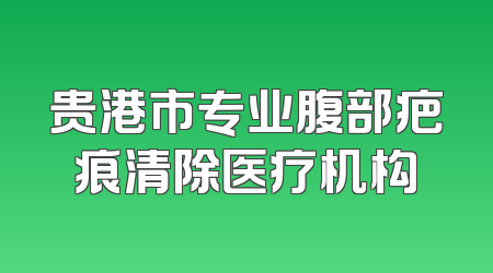 贵港市专业腹部疤痕清除医疗机构