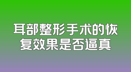 耳部整形手术的恢复效果是否逼真