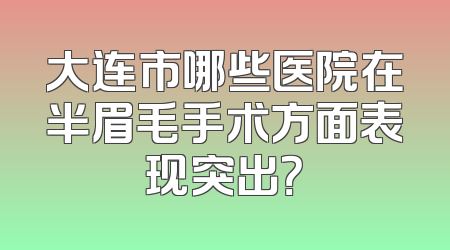大连市哪些医院在半眉毛手术方面表现突出？