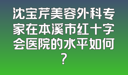 沈宝芹美容外科专家在本溪市红十字会医院的水平如何？