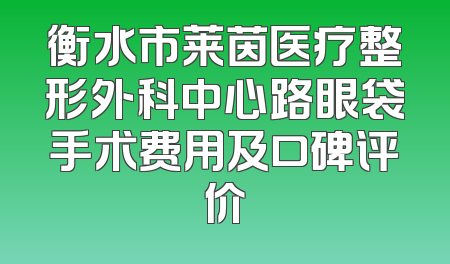 衡水市莱茵医疗整形外科中心路眼袋手术费用及口碑评价