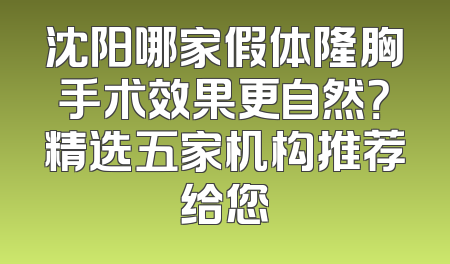 沈阳哪家假体隆胸手术效果更自然？精选五家机构推荐给您
