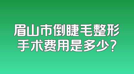 眉山市倒睫毛整形手术费用是多少？
