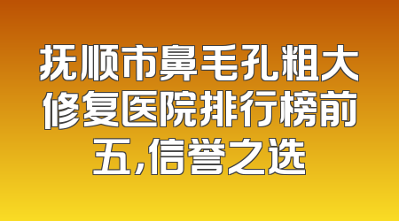 抚顺市鼻毛孔粗大修复医院排行榜前五，信誉之选